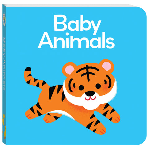 Building Blocks My Little Library Cube: Animals