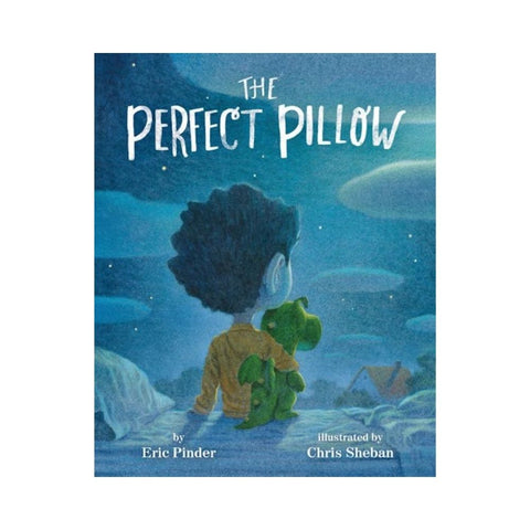 The Perfect Pillow by Eric Pinder