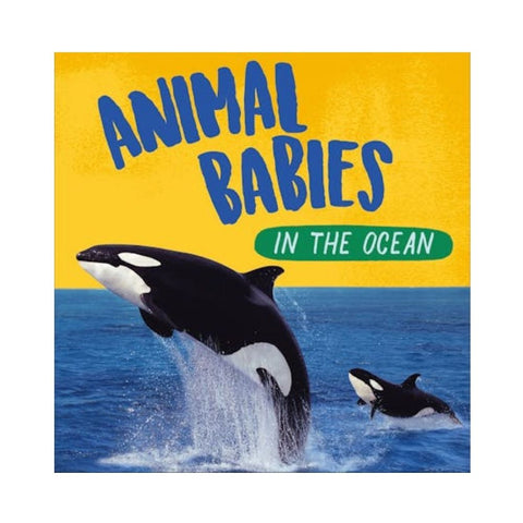 Animal Babies: In the Ocean by Sarah Ridley