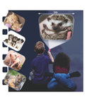 Brainstorm Toys - Cute & Cuddly Torch & Projector