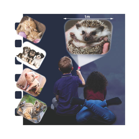 Brainstorm Toys - Cute & Cuddly Torch & Projector