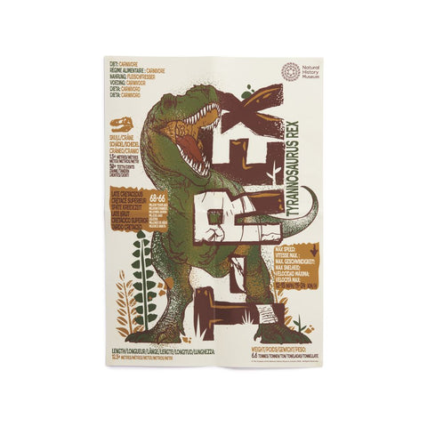 Brainstorm Toys - T-Rex Excavation Kit