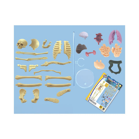 Brainstorm Toys - Build a Body