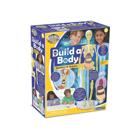Brainstorm Toys - Build a Body