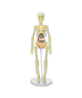 Brainstorm Toys - Build a Body
