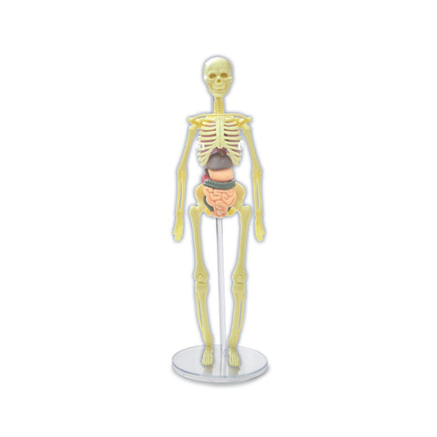 Brainstorm Toys - Build a Body