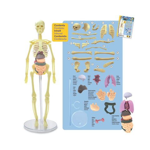 Brainstorm Toys - Build a Body