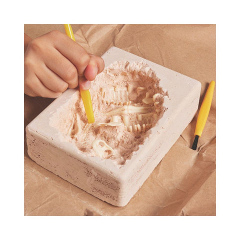 Brainstorm Toys - T-Rex Excavation Kit