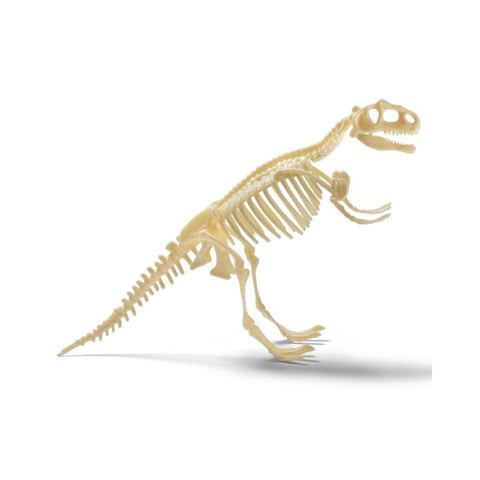 Brainstorm Toys - T-Rex Excavation Kit