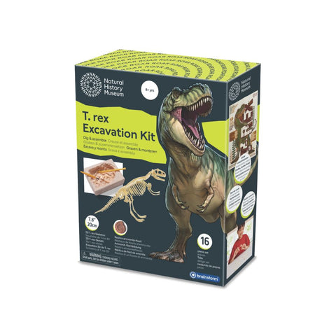 Brainstorm Toys - T-Rex Excavation Kit