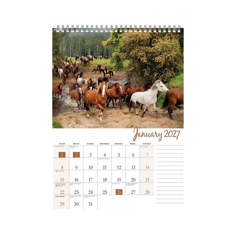 Bartel - Horses 2027 Wiro Calendar