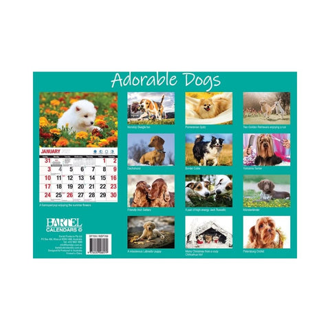 Bartel - Adorable Dogs Big Print Calendar 2027