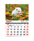 Bartel - Adorable Dogs Big Print Calendar 2027