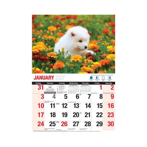 Bartel - Adorable Dogs Big Print Calendar 2027