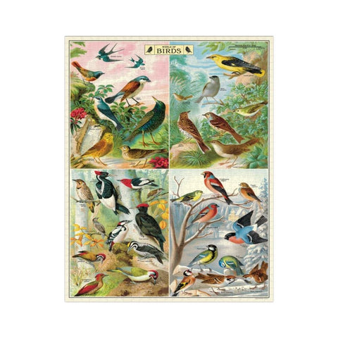 Cavallini - World of Birds 1000-piece puzzle