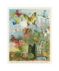Cavallini - World of Butterflies 1000-piece puzzle 