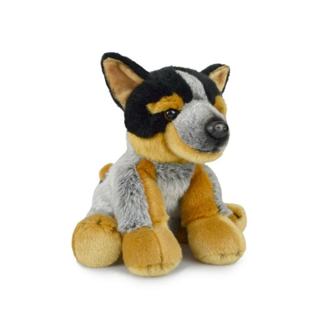 Lil Friends: Blue Heeler 30cm