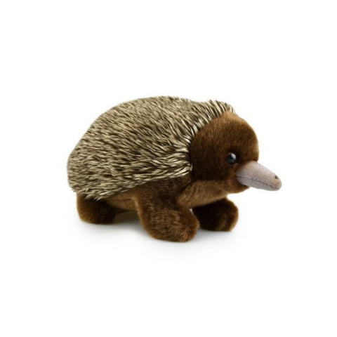 Lil Friends - Echidna 18cm