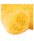 PLAY SCHOOL BIG TED PLUSH 27CM