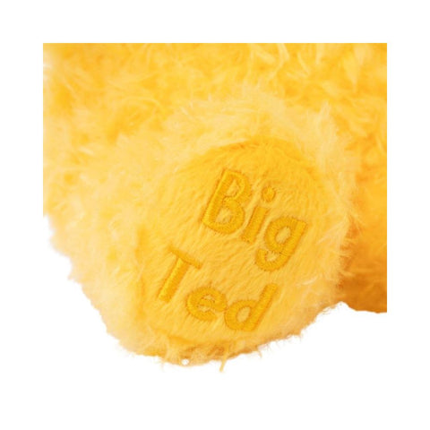PLAY SCHOOL BIG TED PLUSH 27CM