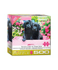 Eurographics - Black Labs In A Pink Box 500-piece puzzle