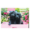 Eurographics - Black Labs In A Pink Box 500-piece puzzle