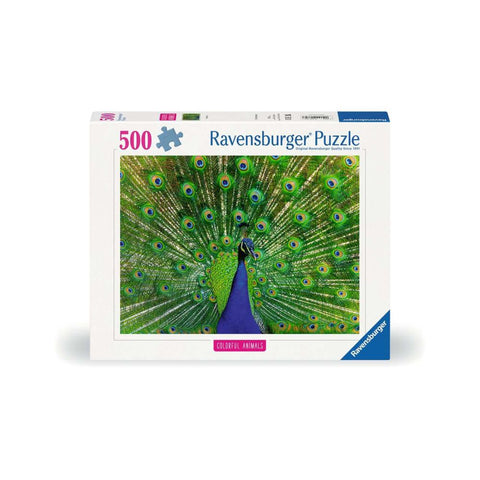 Peacock 