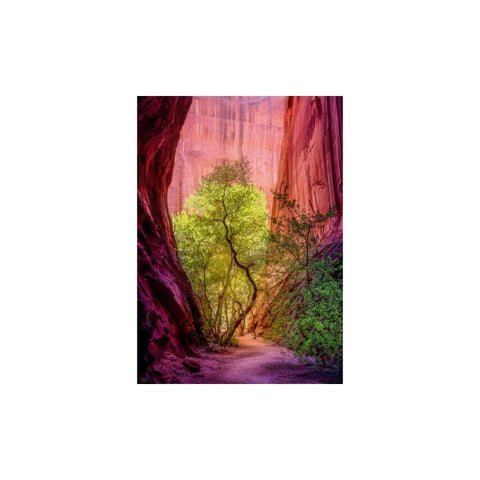 Heye - Power of Nature, Singing Canyon
