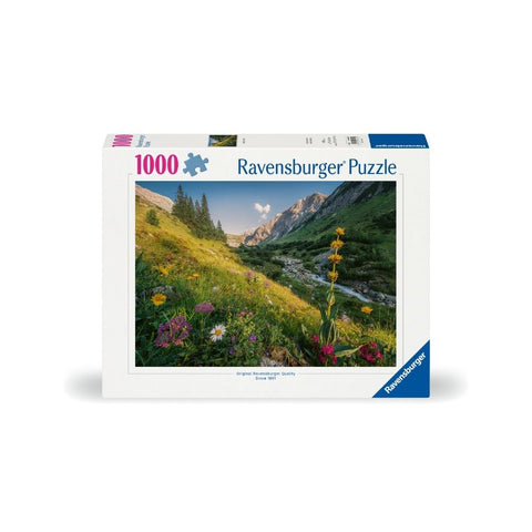 Ravensburger