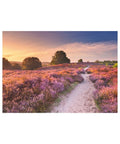 Ravensburger - Pink Pathway 1000pc puzzle