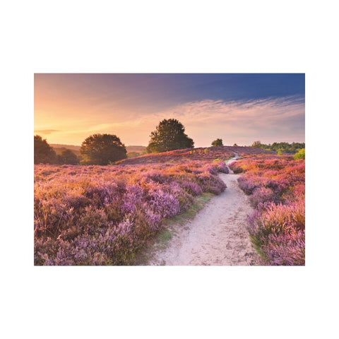 Ravensburger - Pink Pathway 1000pc puzzle
