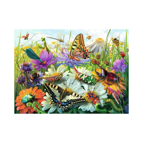 World of Insects1