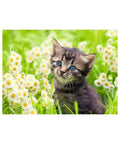 Ravensburger - Kitten in the Meadow 500-piece puzzle