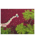 Ravensburger - A Sea of Red 500pc puzzle