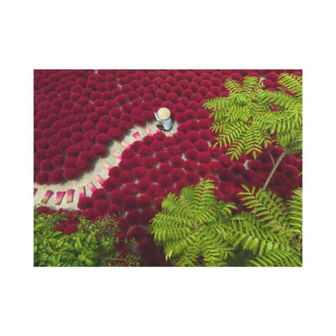 Ravensburger - A Sea of Red 500pc puzzle