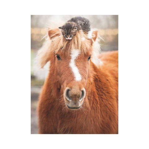 Ravensburger - The Little Rider 500pc puzzle