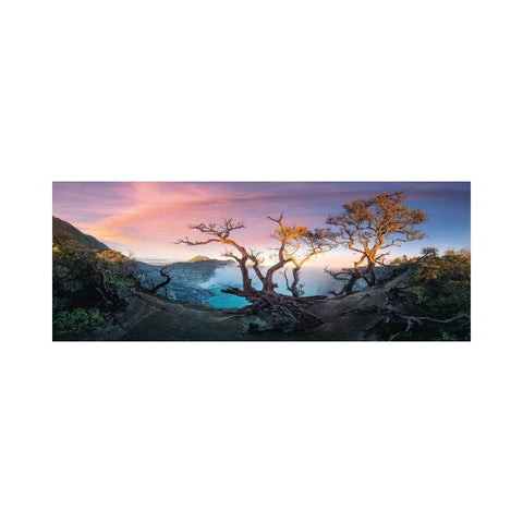 Ravensburger - Panorama
