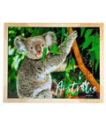 Twigg Puzzles - Koala -78 Pieces Framed Puzzle