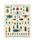 Cavallini & Co. Bugs & Insects 1000pc puzzle