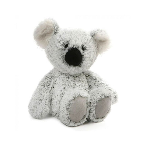  Koala William