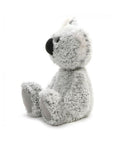  Koala William