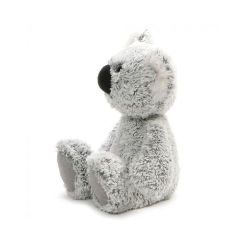  Koala William