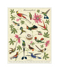 Hummingbird