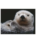 Otter