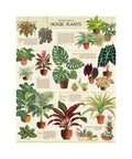 Cavallini & Co. - House Plants 1000pc Puzzle