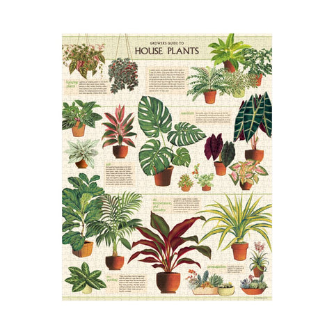 Cavallini & Co. - House Plants 1000pc Puzzle