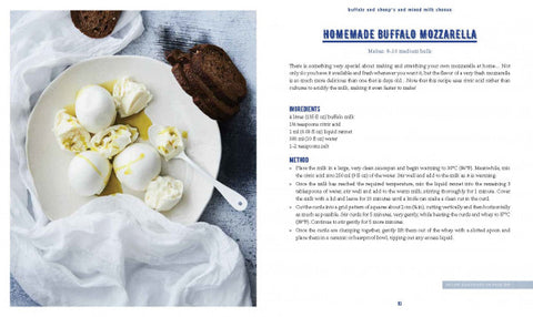Curd & Crust Artisan Cheese And Bread Making by Tamara Newing-New Holland-booksrusandmore